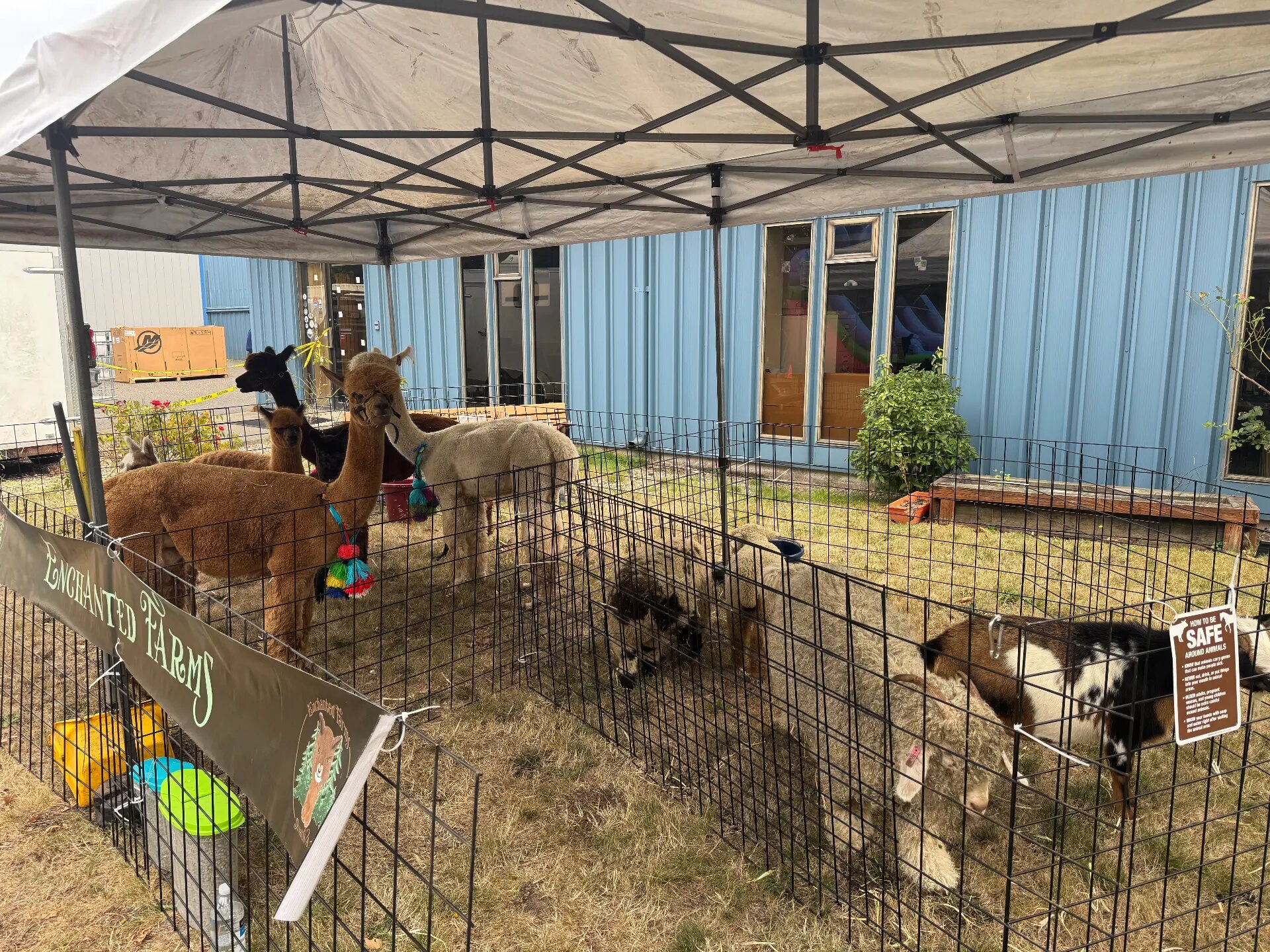 Mobile Petting Zoo